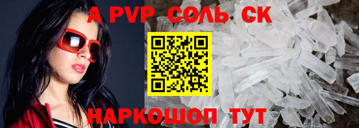 A PVP СК Сыктывкар