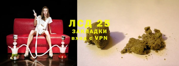 индика Белоозёрский
