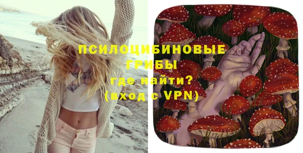 прущие крисы Краснотурьинск
