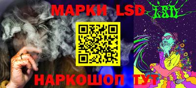 дмт Донской