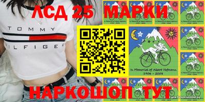 дмт Донской