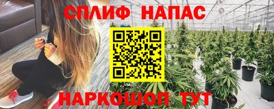 дмт Донской