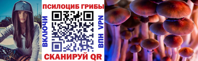 Псилоцибиновые грибы Cubensis  Сыктывкар 