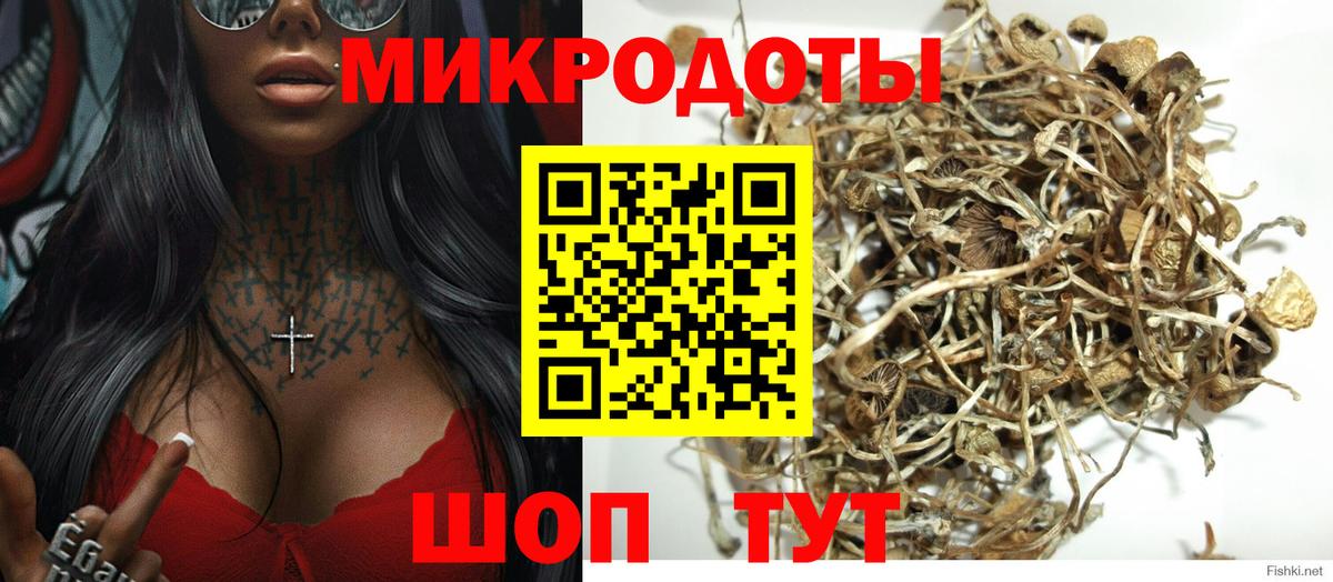 Псилоцибиновые грибы Psilocybine cubensis Сыктывкар