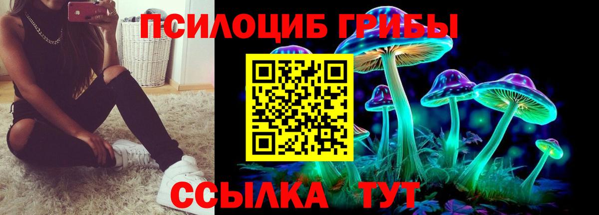 Псилоцибиновые грибы MAGIC MUSHROOMS  Псилоцибиновые грибы Psilocybine cubensis  Вход с VPN  Сыктывкар 