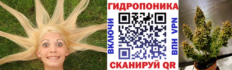 цена наркотик  Сыктывкар  сайты даркнета клад  МАРИХУАНА индика 